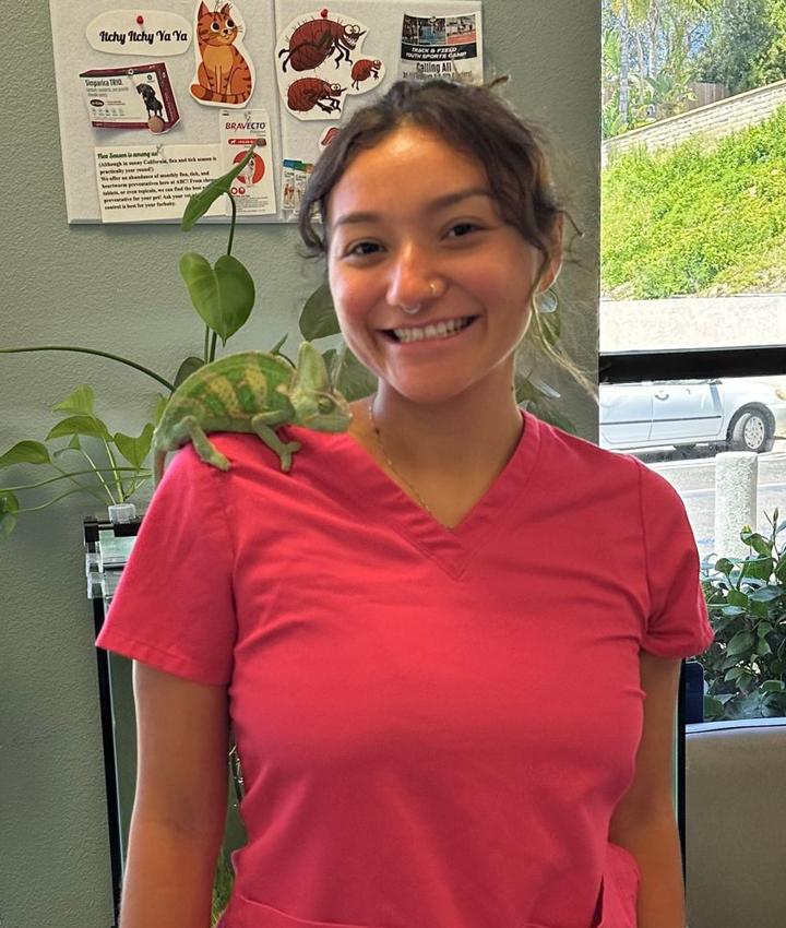 Portrait of Angelica